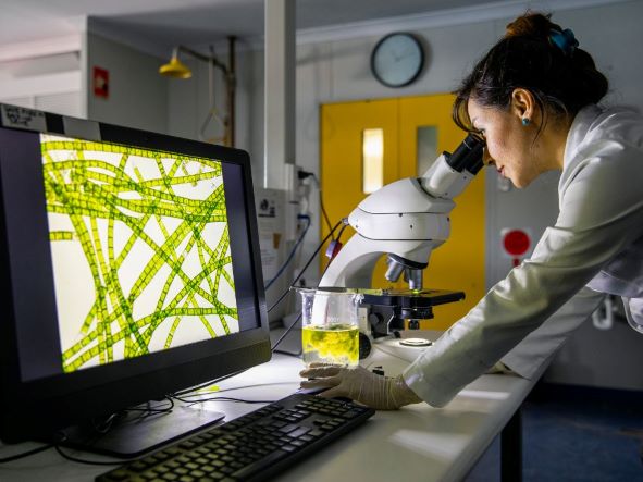 Uma estudante fazendo uma pesquisa na área da medicina